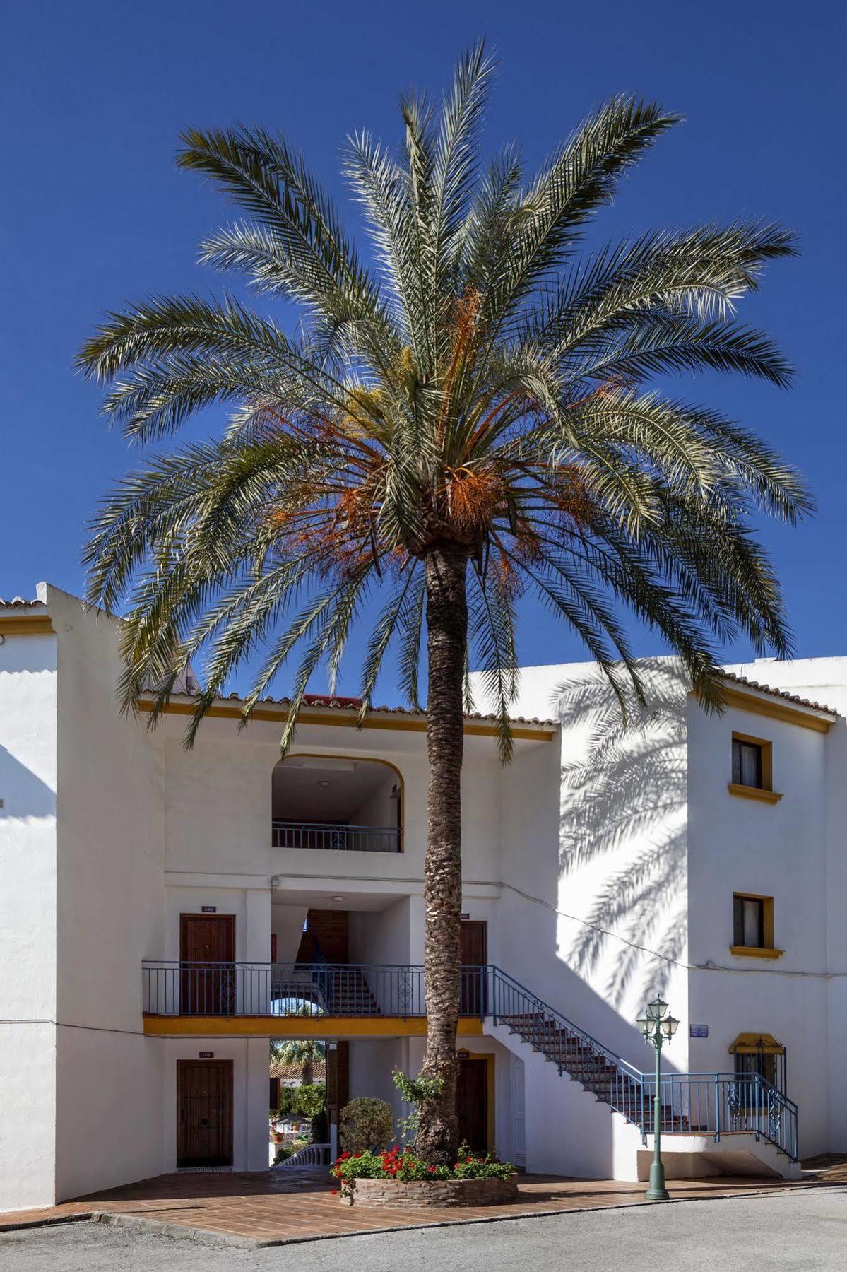 Crown Resorts Club La Riviera La Cala De Mijas Exterior foto